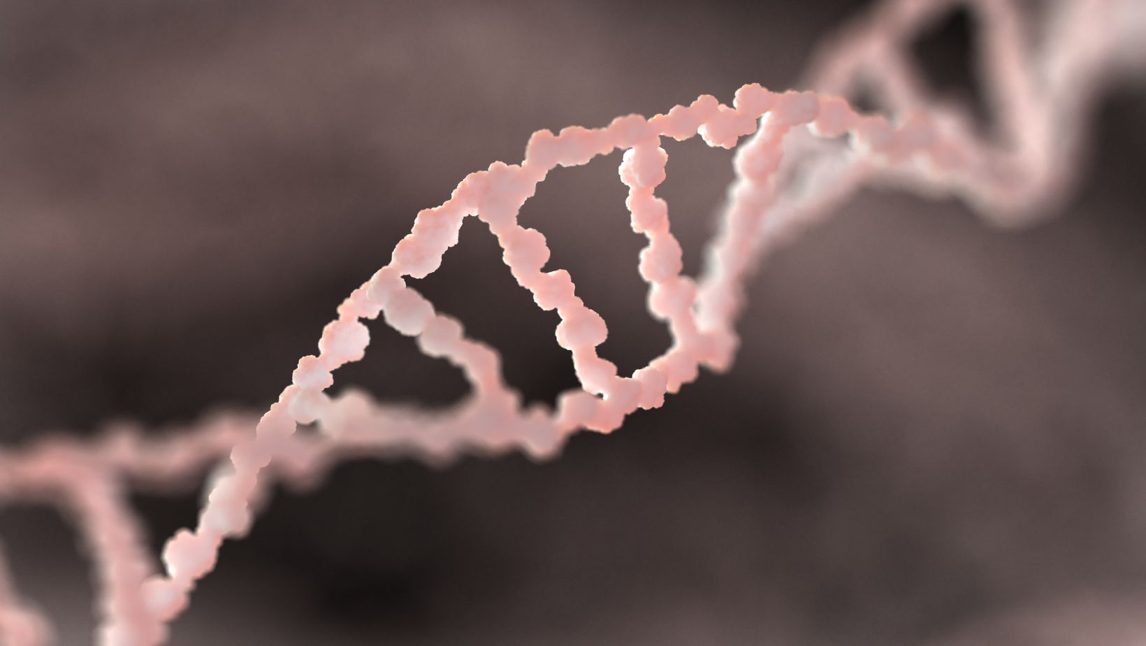 biology-fact-reminder-which-represents-a-strand-of-rna-bases-the