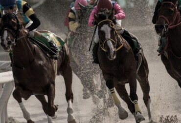 caymanas park live racing