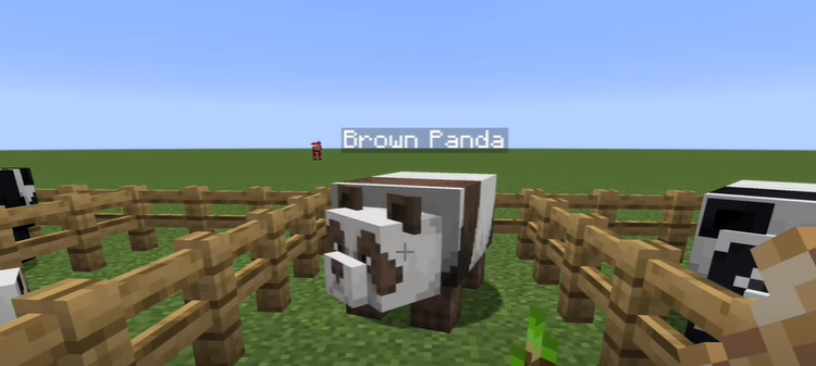 how rare is a brown panda in minecraft