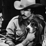 Dicovering What Was the Dogs Name in Smokey and the Bandit