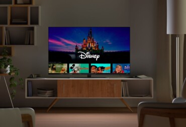 disneyplus.com login/begin url